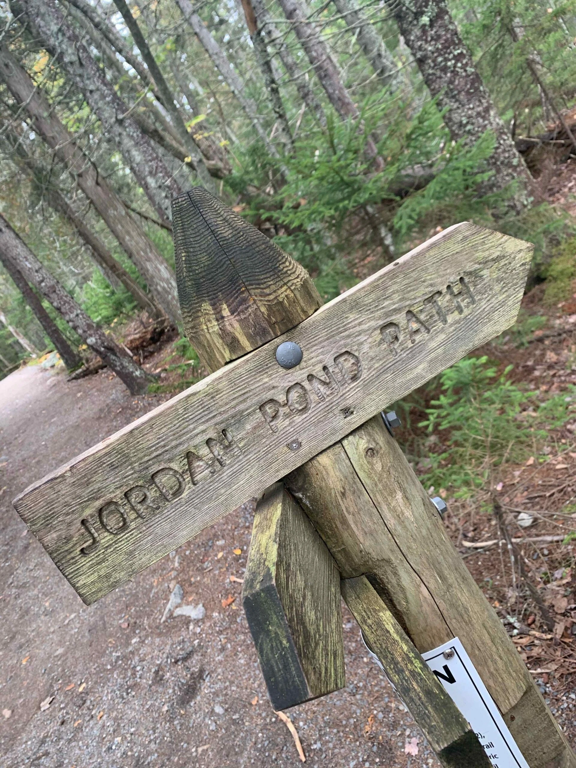 Jordan Pond Path