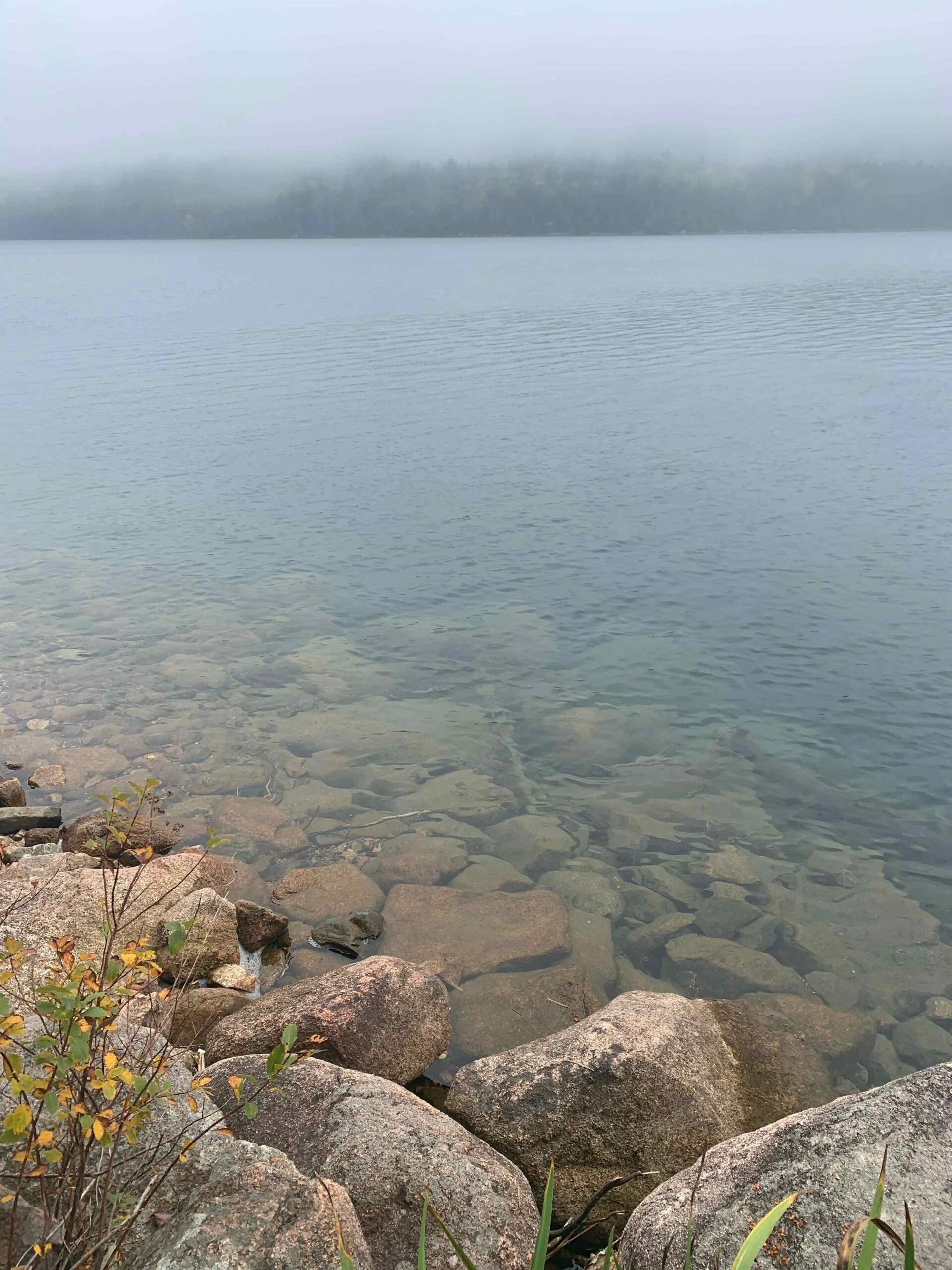 Crystal Clear Water