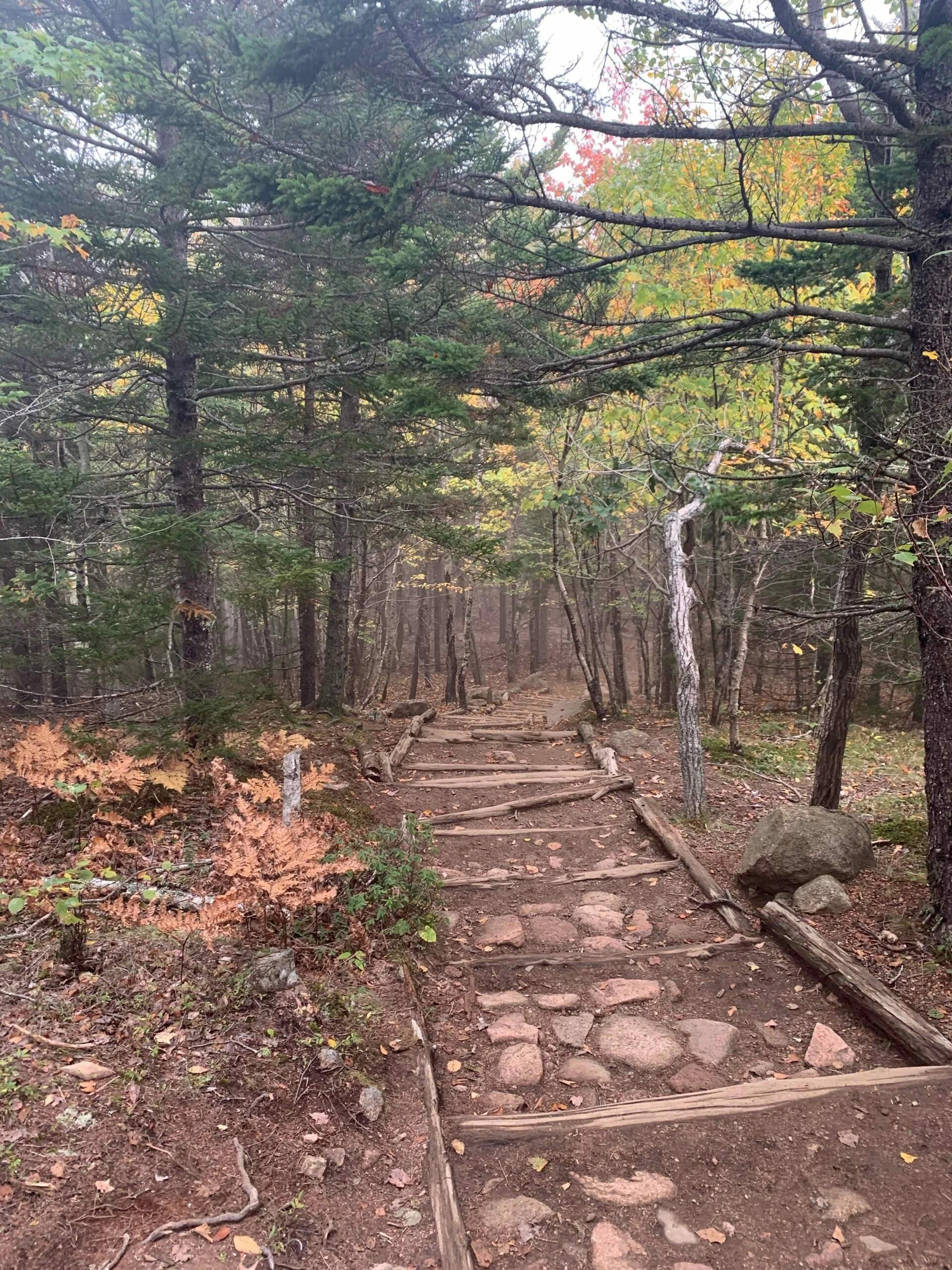 Path To The Bubble