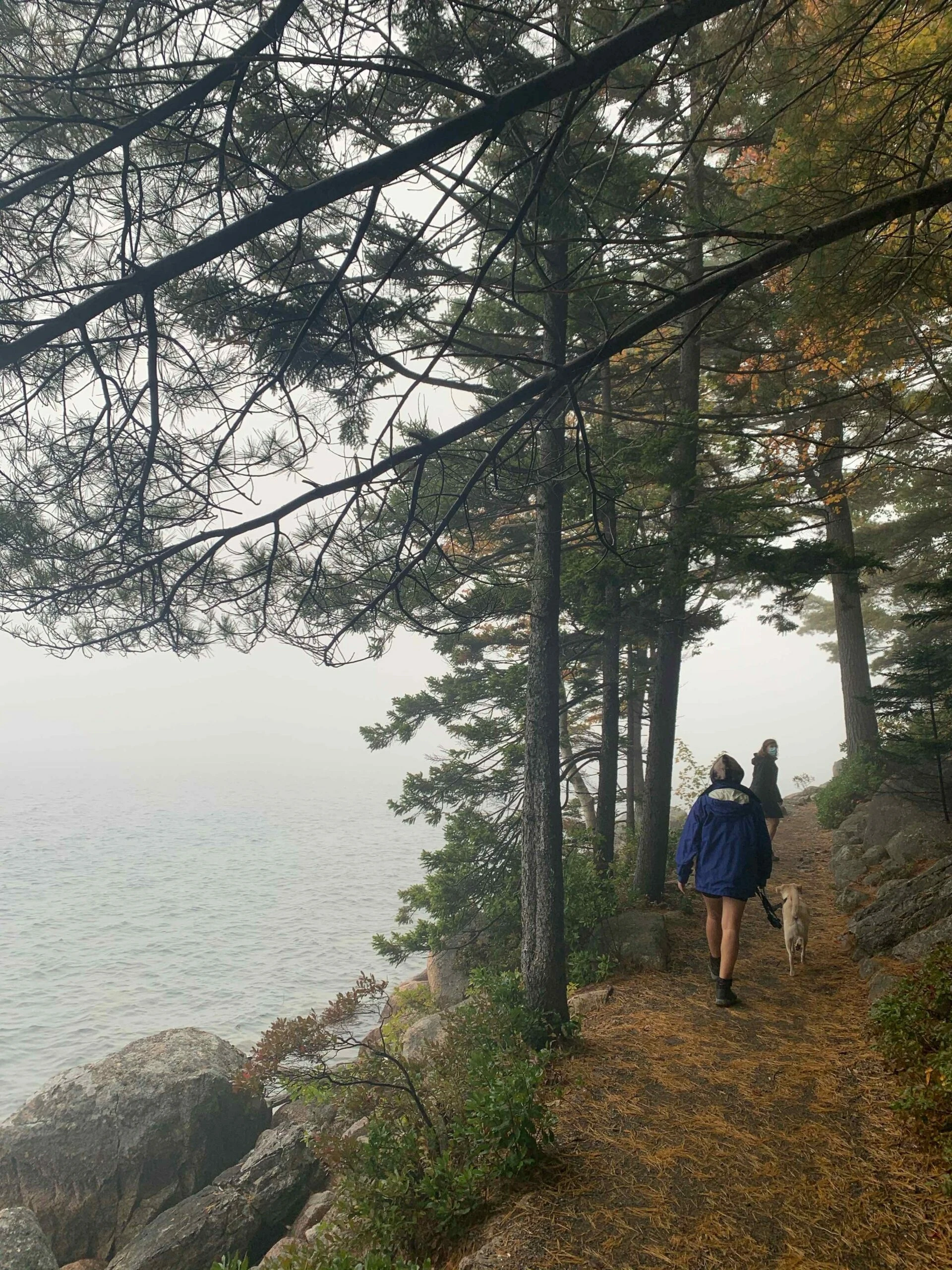 Jordan Pond Path