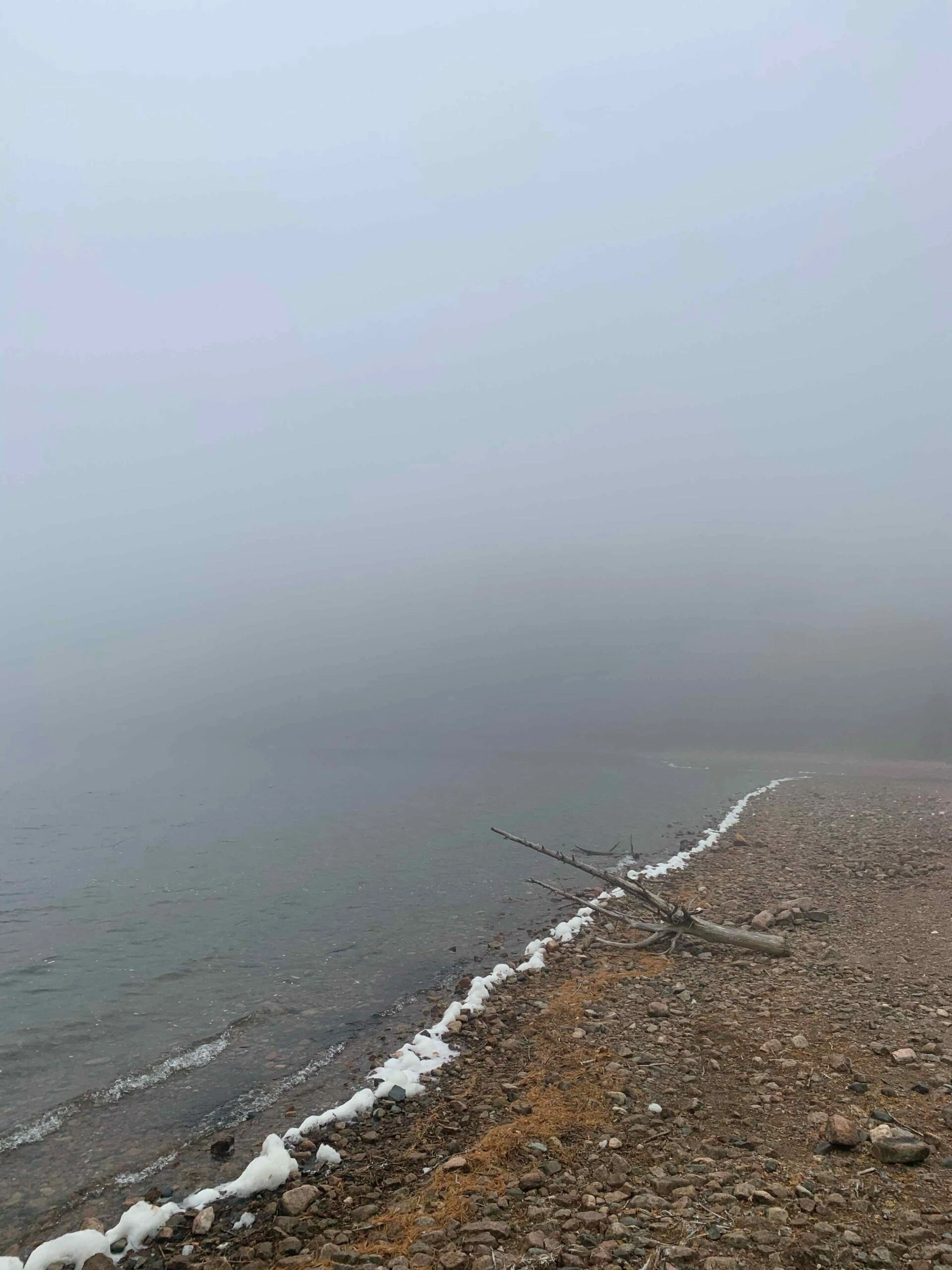 Foggy