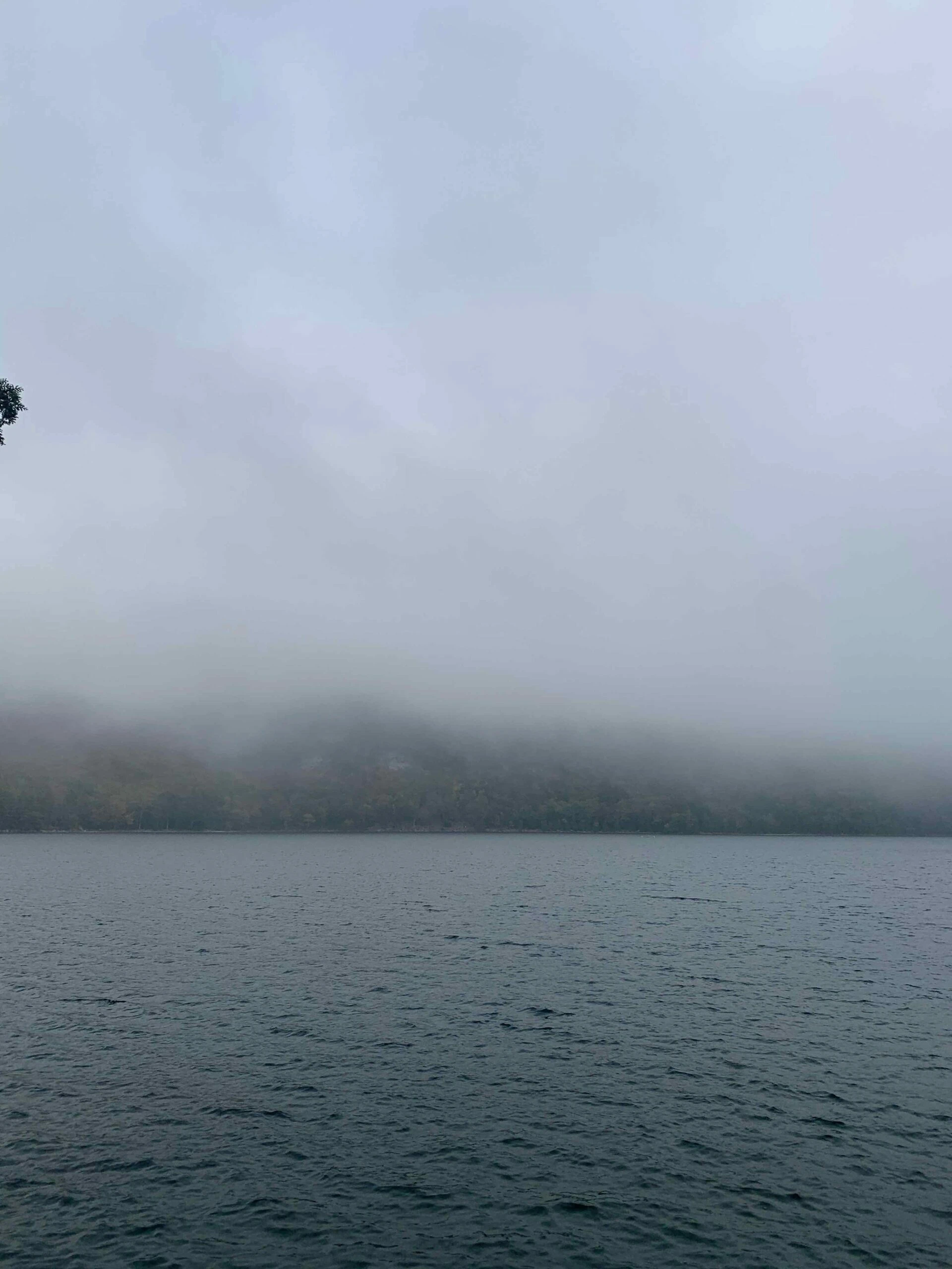 The Fog Slowly Lifts